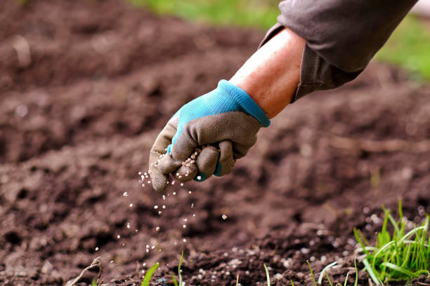 curso de abonos organicos