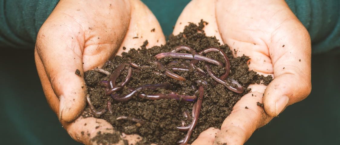 curso de abonos organicos