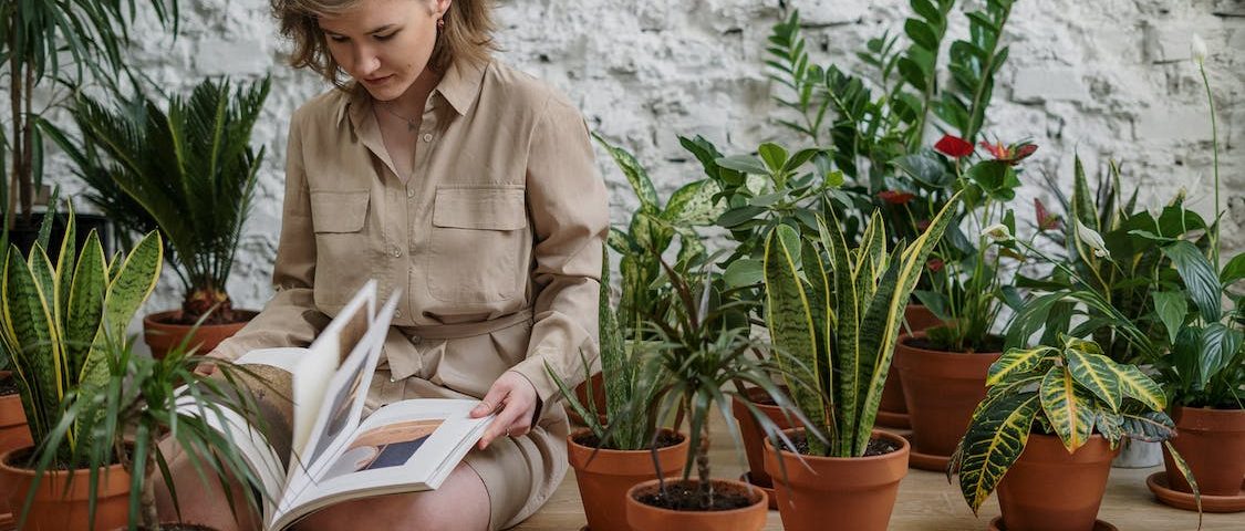 como emprender negocios cultivando plantas